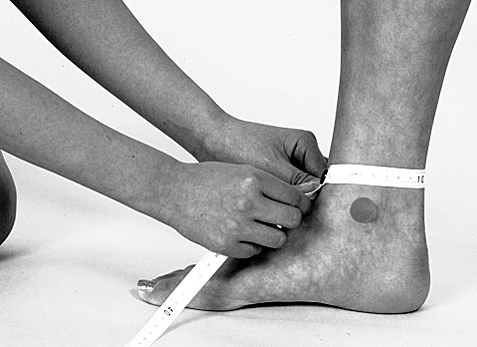 足首囲